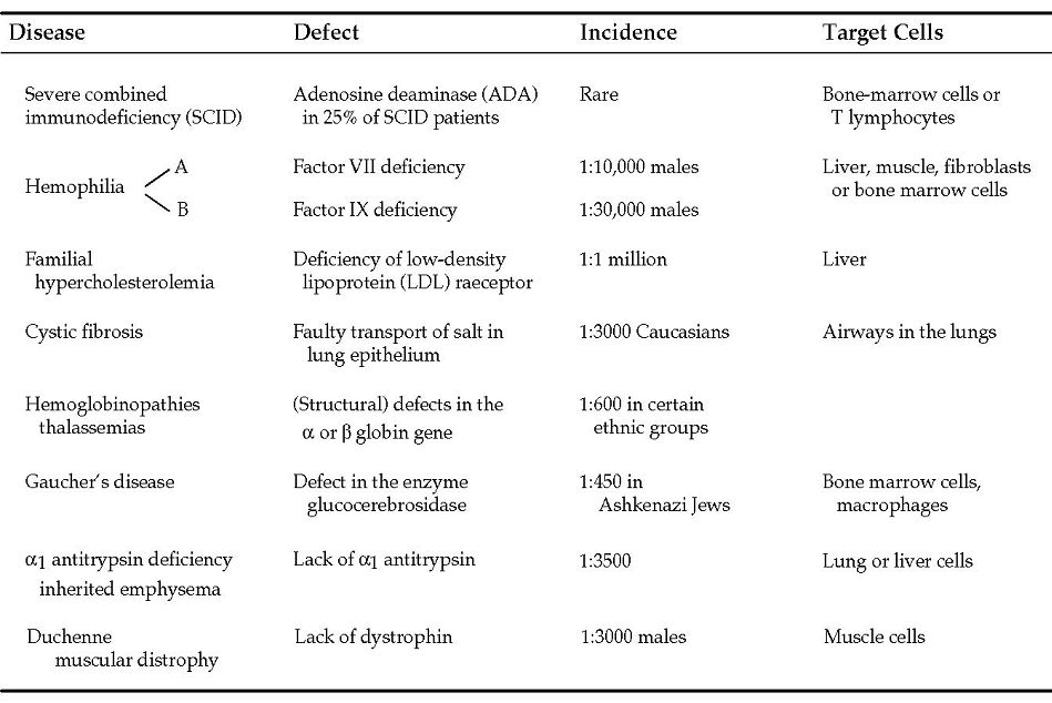 Chromosome Diseases Chart